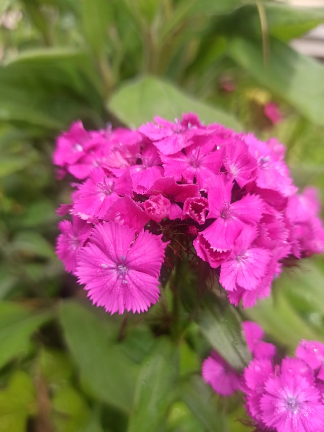 IMG_20250622_145220.jpg