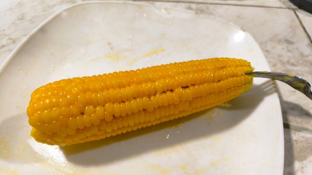 1000145392.jpg