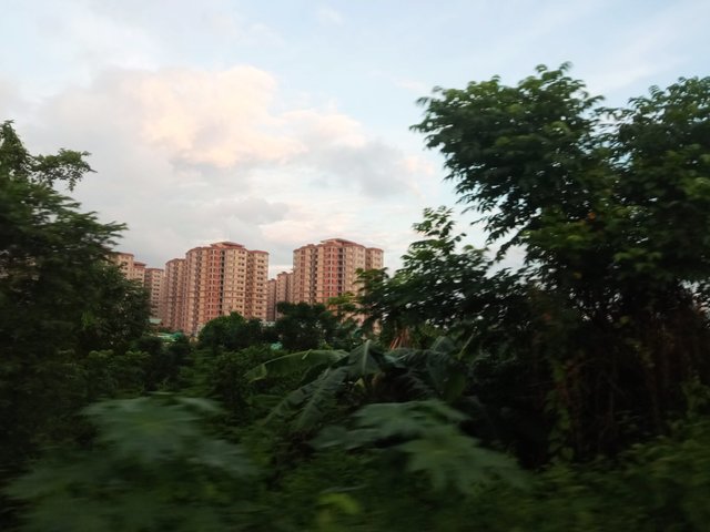 nature (1).jpg