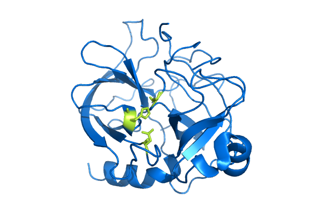 Protease Manufacturing Plant Project Report.png