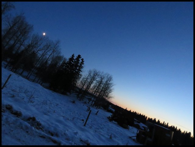 sunset colors and moon rising over darkened spruce and poplar trees.JPG