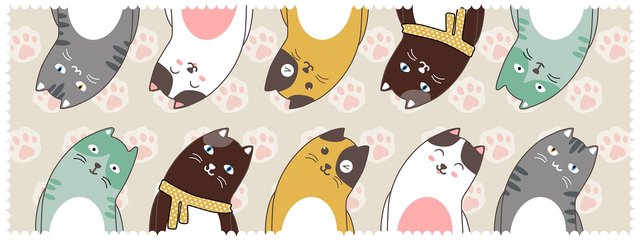 cats-5793173_1280.jpg