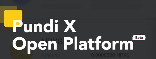 screenshot-pundix.com-2019.08.01-15_53_51.png