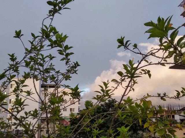 IMG_20250815_182533.jpg