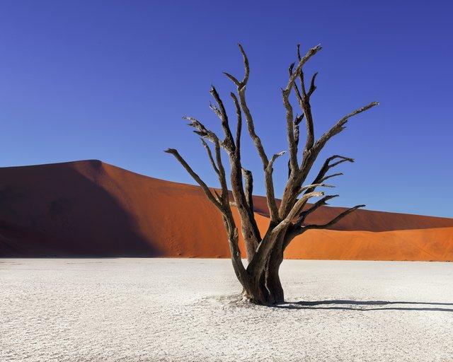 Namibia-6.jpg