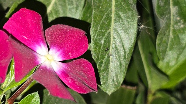 20250125_025201.jpg