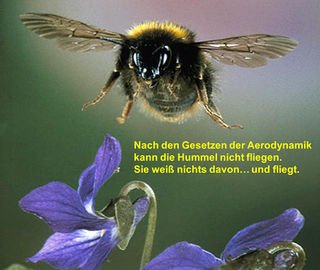 320px-Hummel_Paradoxon.jpg