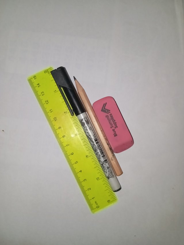 1000077301.jpg