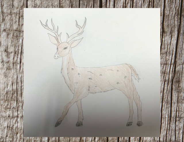 Draw Deer1.png