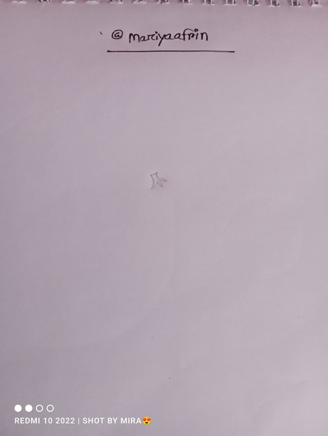 IMG_20250419_102137.jpg