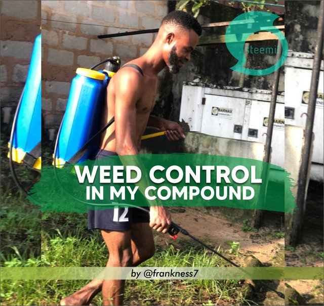 Weed control .jpg