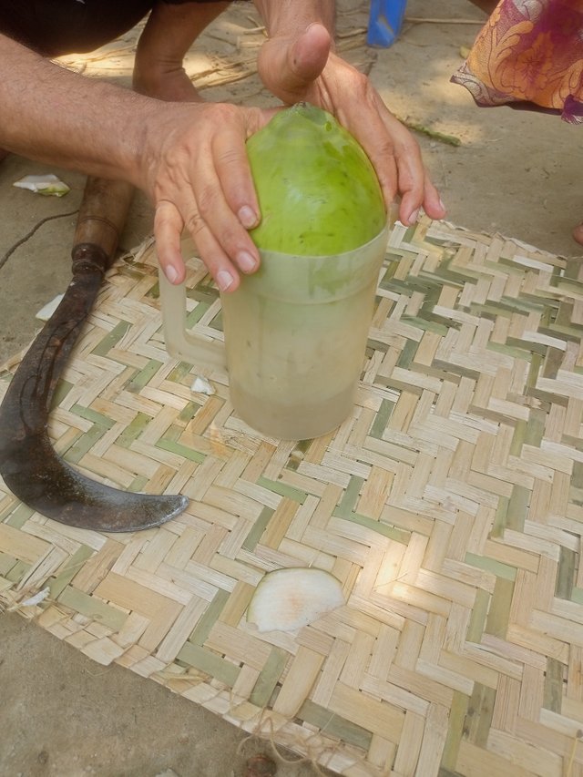 IMG20250609115535.jpg