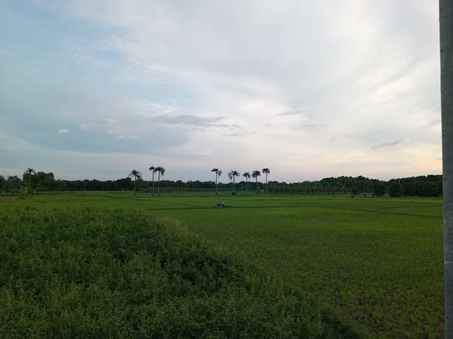 IMG_20250527_182603_225.jpg