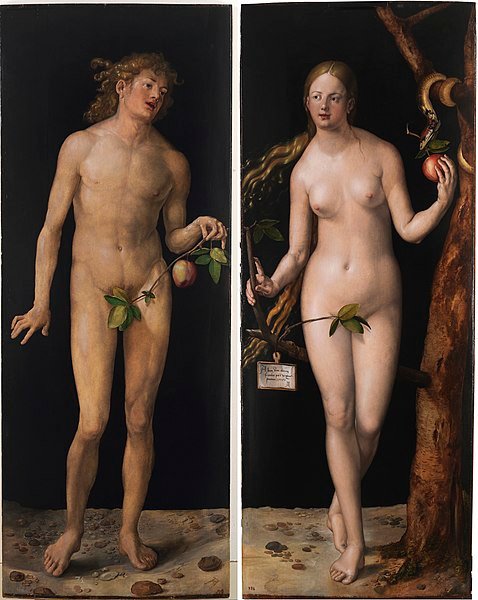 478px-Albrecht_Dürer_-_Adam_and_Eve_(Prado)_2.jpg