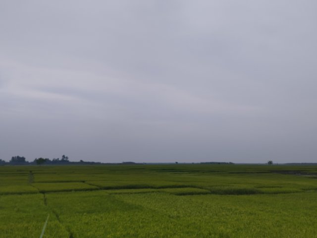 IMG_20230428_163046.jpg
