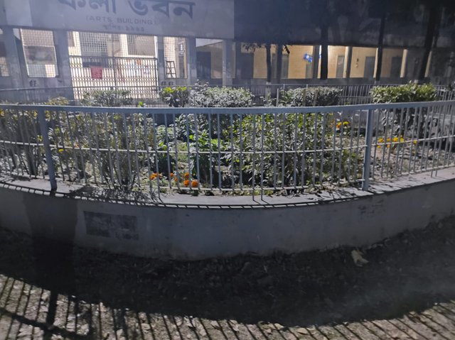 1000026676.jpg
