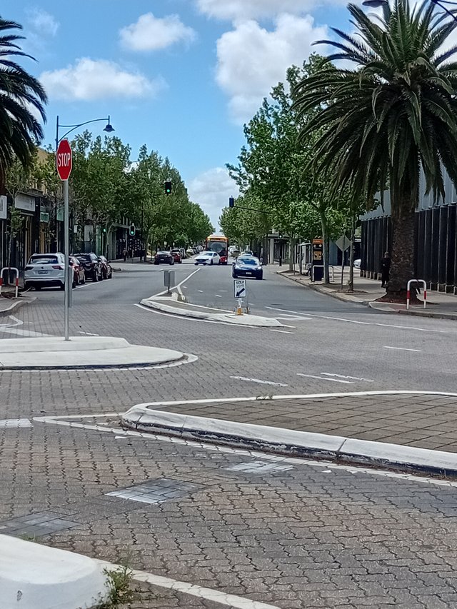 20251022_141141.jpg