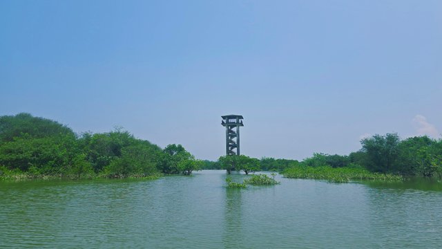 20250609_104306.jpg