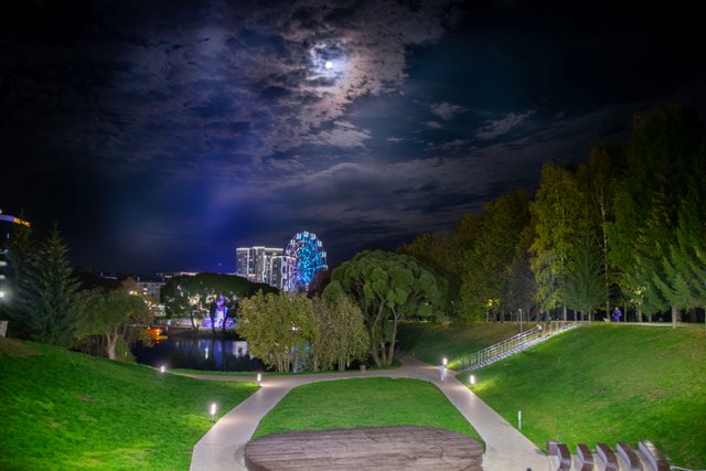 20251006Цирк_5.jpg