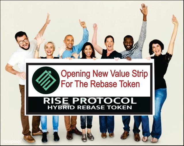 Rise Protocol.siska55.jpg