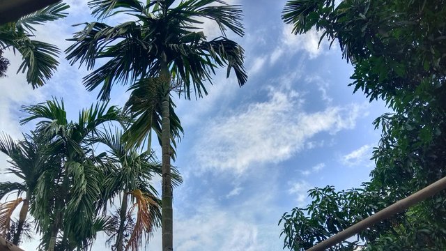 IMG_20250526_171736_449.jpg