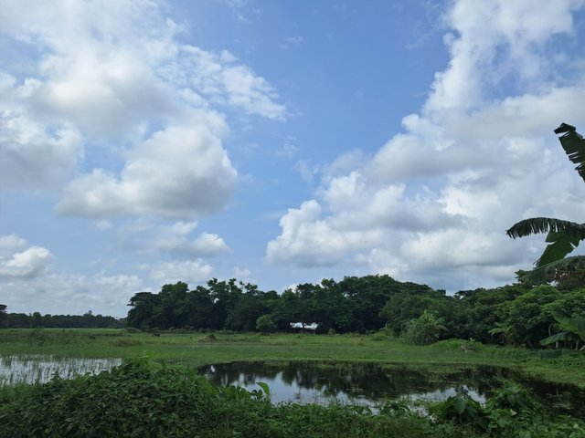 20240713_141625.jpg