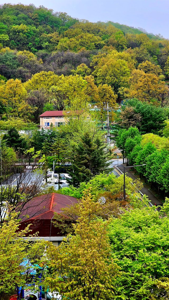 KakaoTalk_20250422_171153035.jpg
