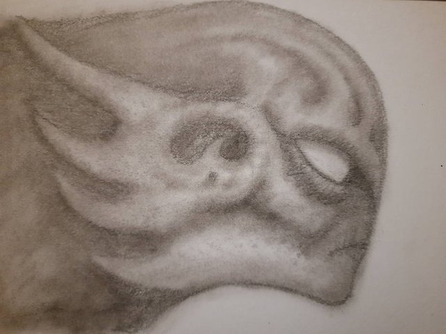 20250728_110846.jpg