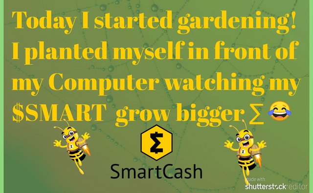 SmartCash-Meme-design.png