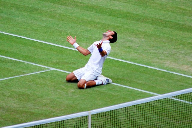 Novak_Djokovic_Wimbledon_2011_semifinal_win_celebration_-_croped_and_edited.jpg