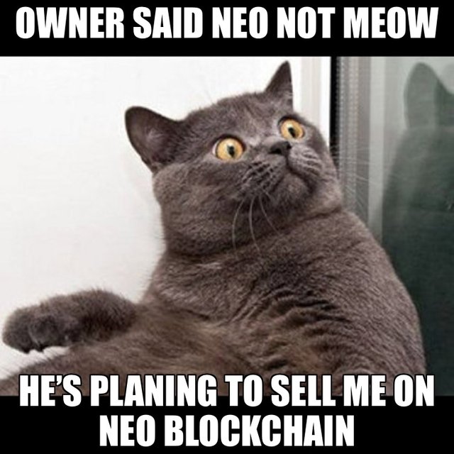 Sell Anything on NEO Blockchain.JPG