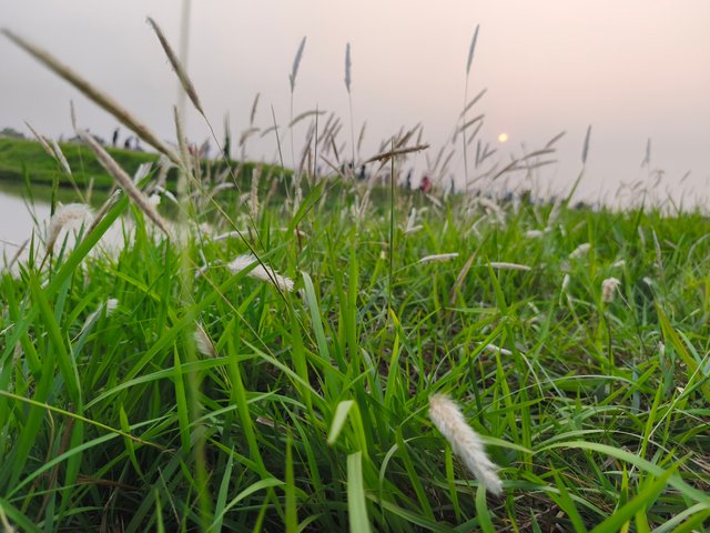 IMG_20250401_174436.jpg