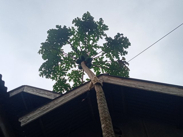 IMG20250908163215.jpg