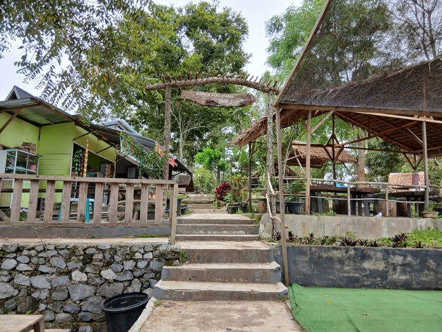 20250419_101037.jpg