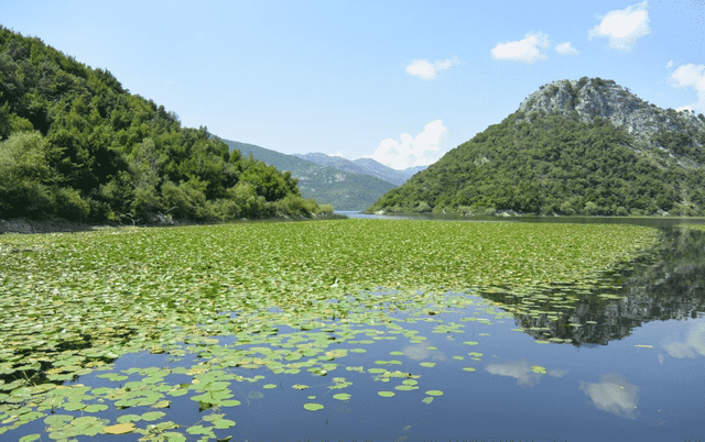 Lake-Skadar-Landscape-water-nature.png