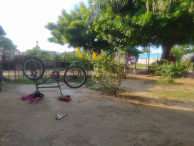 IMG_20250521_174120.jpg