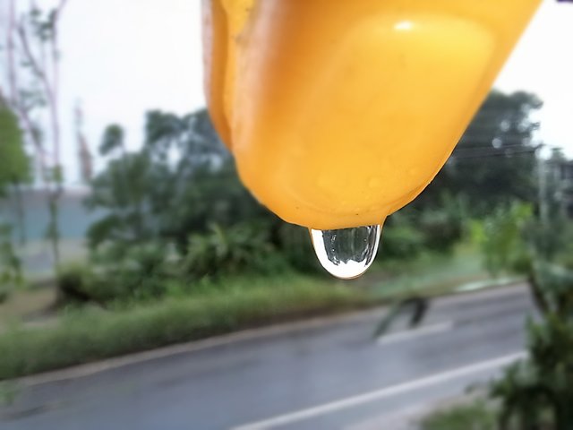 20250805_163732_edit_59261063174162.jpg