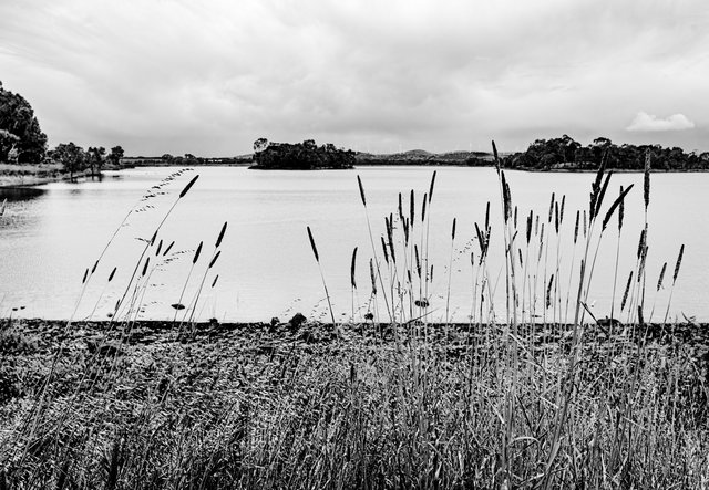_DSC3390-Edit.jpg