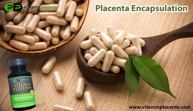 Placenta Encapsulation Benefits.jpg