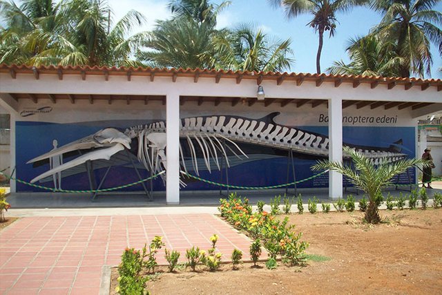 Sitios-turisticos-de-Margarita-Museo-Marino.jpg