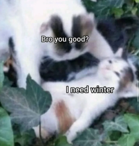 v190.png