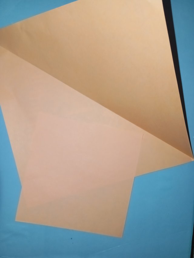 1000056443.jpg