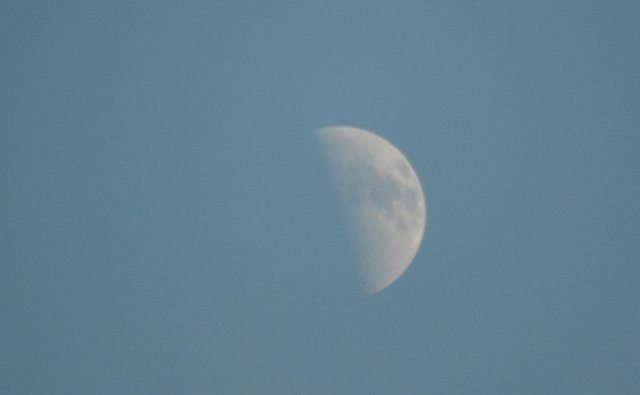 010 sky moon.jpg
