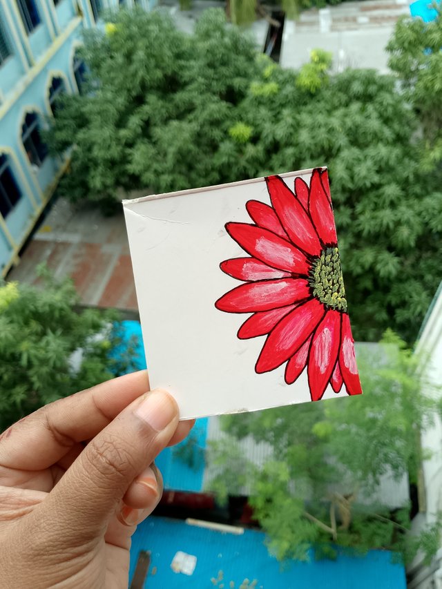 1000058284.jpg