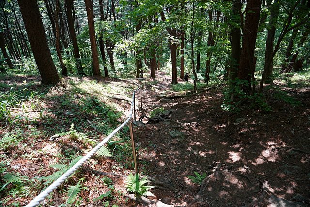 b-DSC04224.JPG
