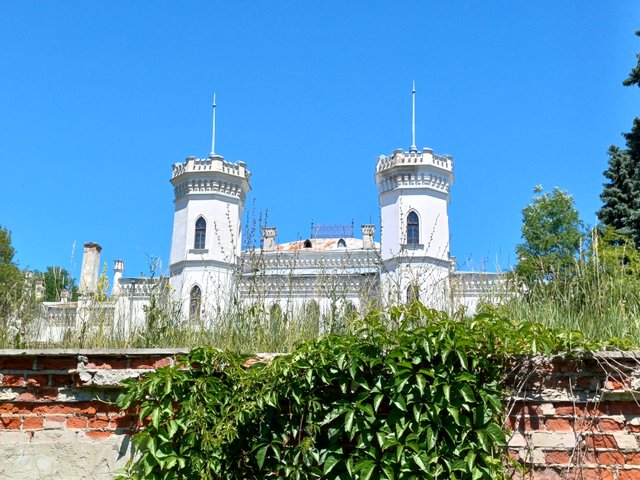 20250706_124204.jpg