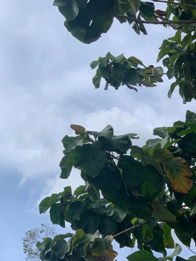 nature129.jpg