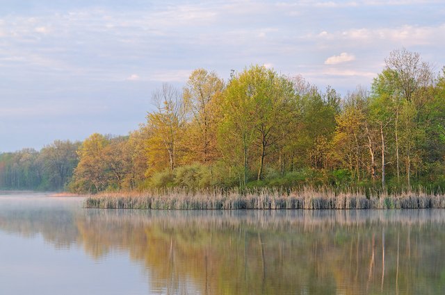 Fort-Custer-Recreation-Area.jpg