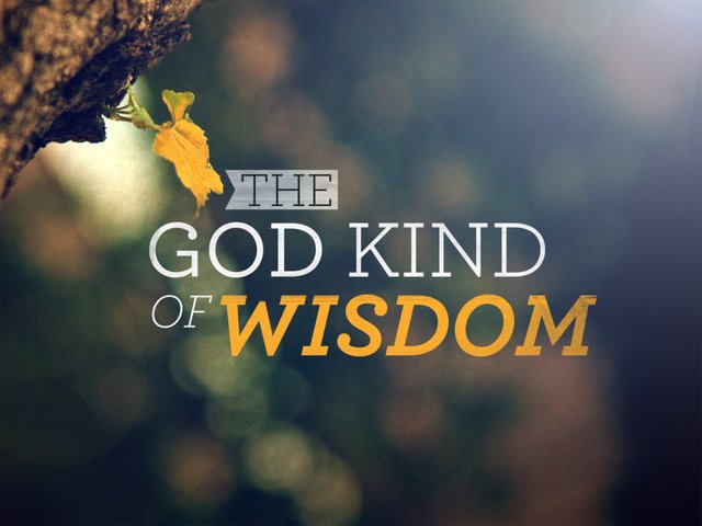 the_god_kind_of_wisdom_std_t_nv.webp