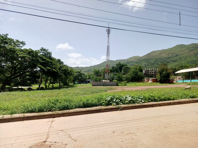 IMG_20250527_104316_478.jpg